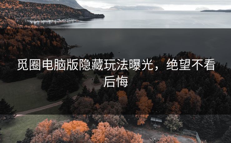 觅圈电脑版隐藏玩法曝光，绝望不看后悔