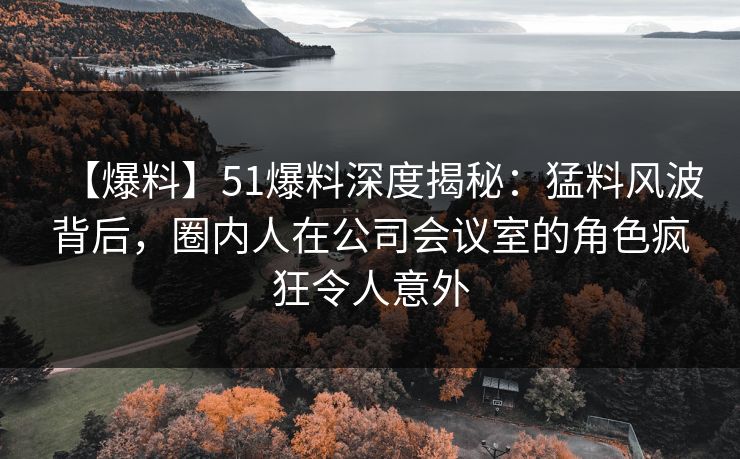 【爆料】51爆料深度揭秘：猛料风波背后，圈内人在公司会议室的角色疯狂令人意外